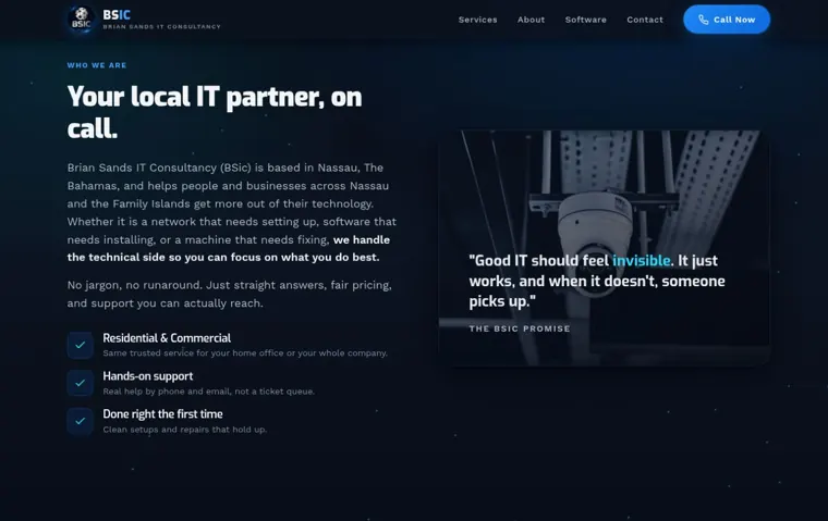 Brian Sands IT Consultancy website, company overview